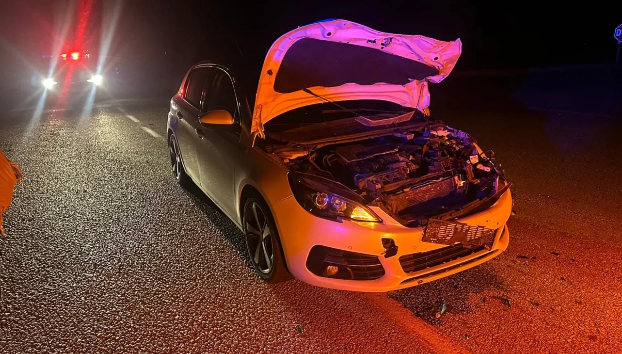 Çorum’da yola çıkan danaya çarpan otomobilde iki kişi yaralandı