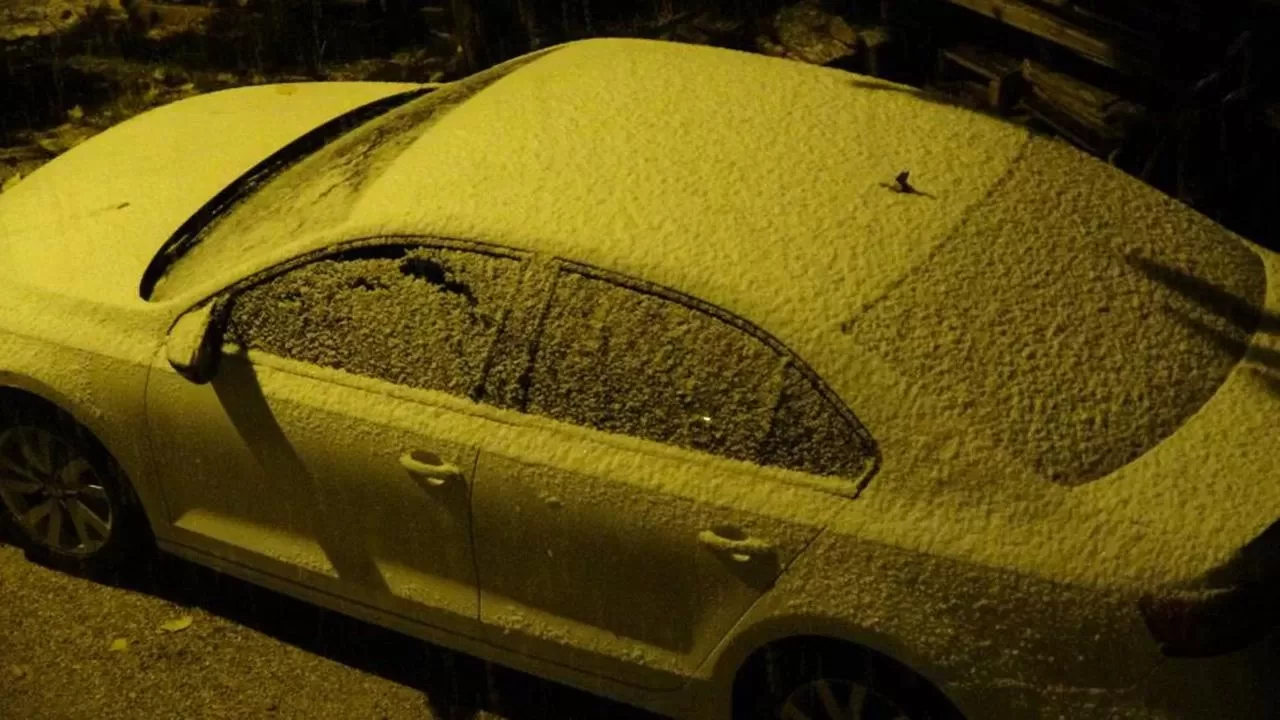 Bitlis'te soğuk hava yerini kara bıraktı