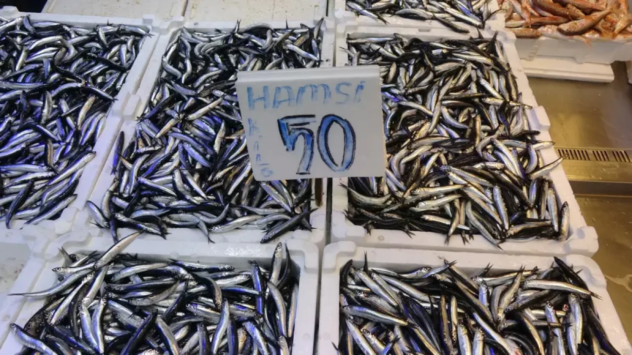 3 kilosu 200 TL, en bereketli sezon. Tezgahlar doldu, taştı