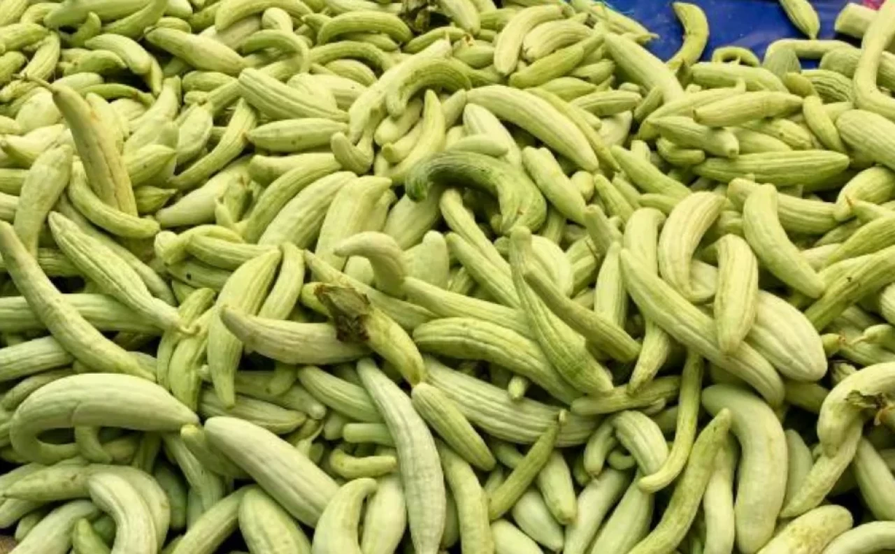 Acur nedir? Özellikleri ve faydaları nelerdir?