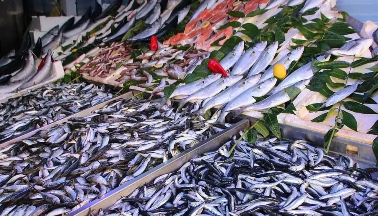 Balık faydalı ama yanlış olan zehir gibi! Cıva tehlikesi gözleri hedef alıyor