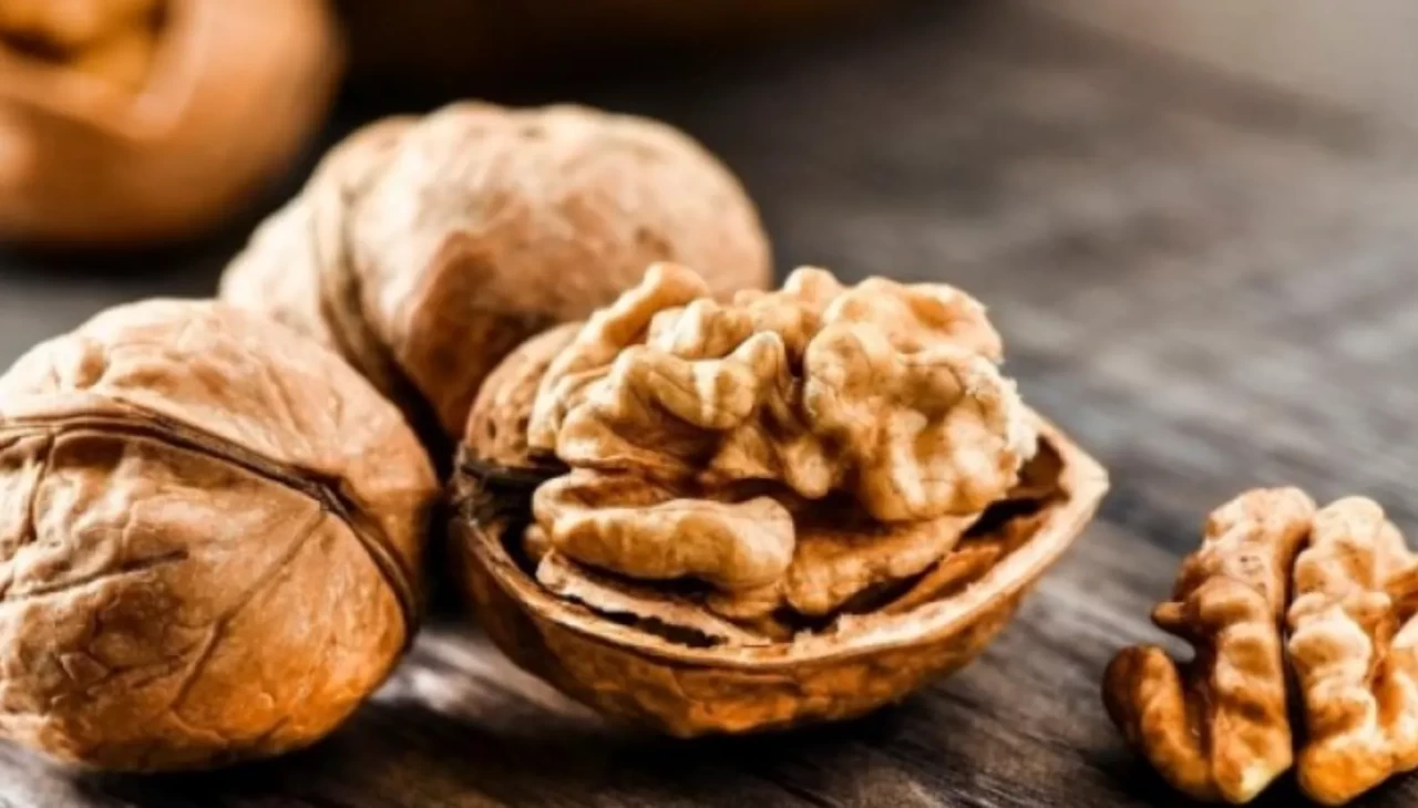 Ceviz yiyenlerin kalp krizi geçirme riski azalıyor! İşte bilimsel kanıtlar