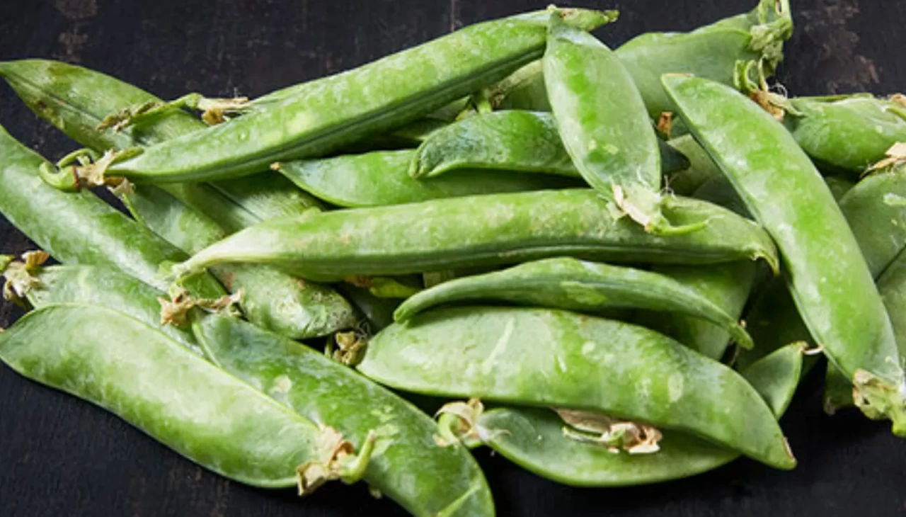 Bezelye ve araka aynı şey mi?