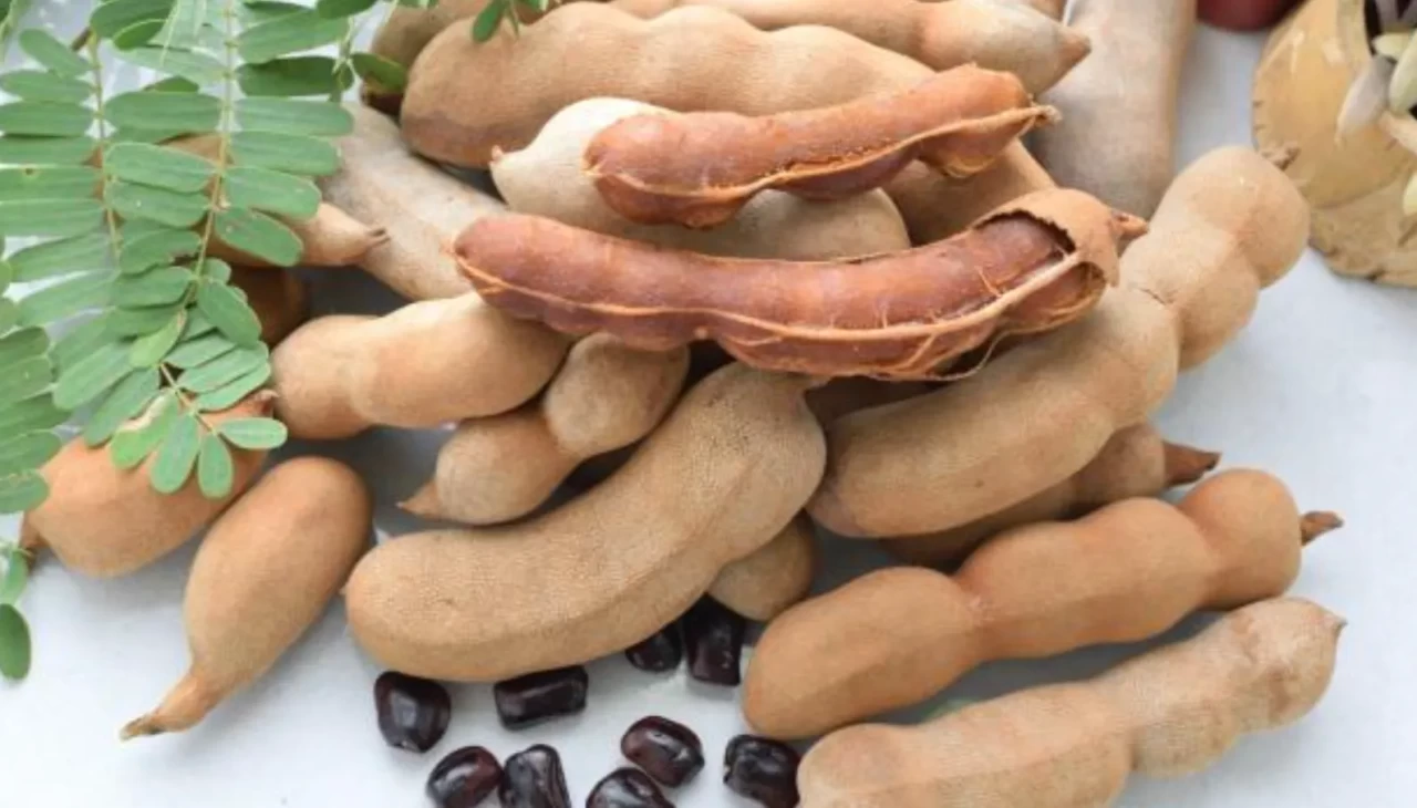 Aktarlar önünde kuyruk oluştu! Demirhindinin şaşırtan etkisi herkesi mest etti