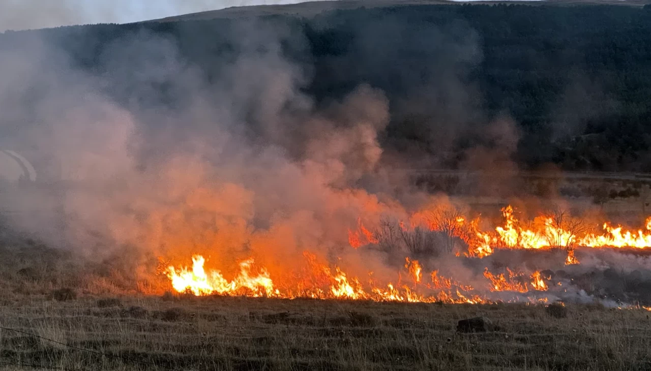 Ardahan’daki Putka Gölü sazlığında çıkan yangına müdahale ediliyor