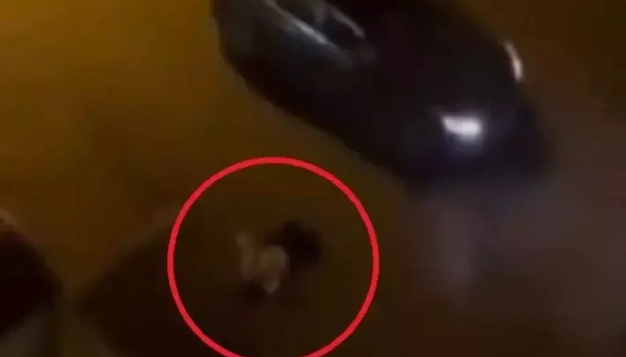 Batman’da iki kişiyi öldüren Ramazan Baykara’ya ağırlaştırılmış müebbet ve 15 yıl hapis