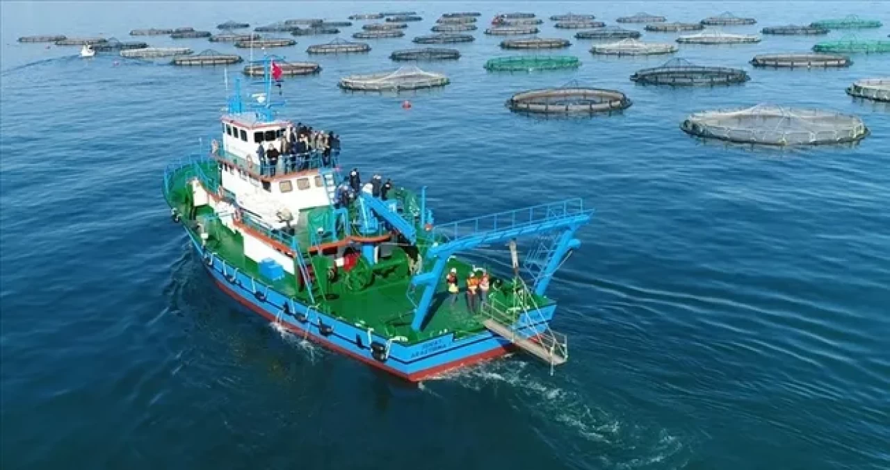Doğu Karadeniz'den 10 ayda 29 ülkeye su ürünü ihraç edildi