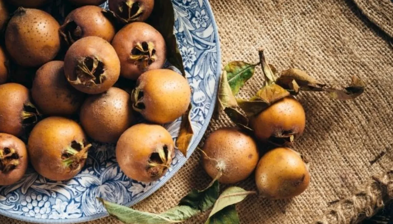 BEYBIYIK NEDEN BU KADAR POPÜLER? İŞTE VÜCUDA 7 ŞAŞIRTICI ETKİSİ