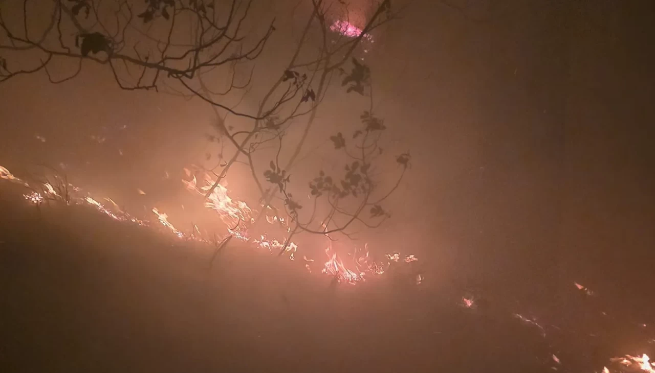 Hatay’da yıldırım ormanı ateşe verdi: Ekipler müdahale ediyor