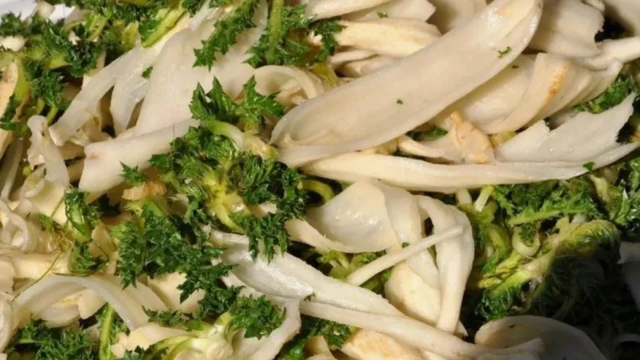 MasterChef’te adını duyduk, şifasıyla mest etti! Böbrek dostu Şevketi Bostan binbir faydasıyla herkesi şaşırtıyor!