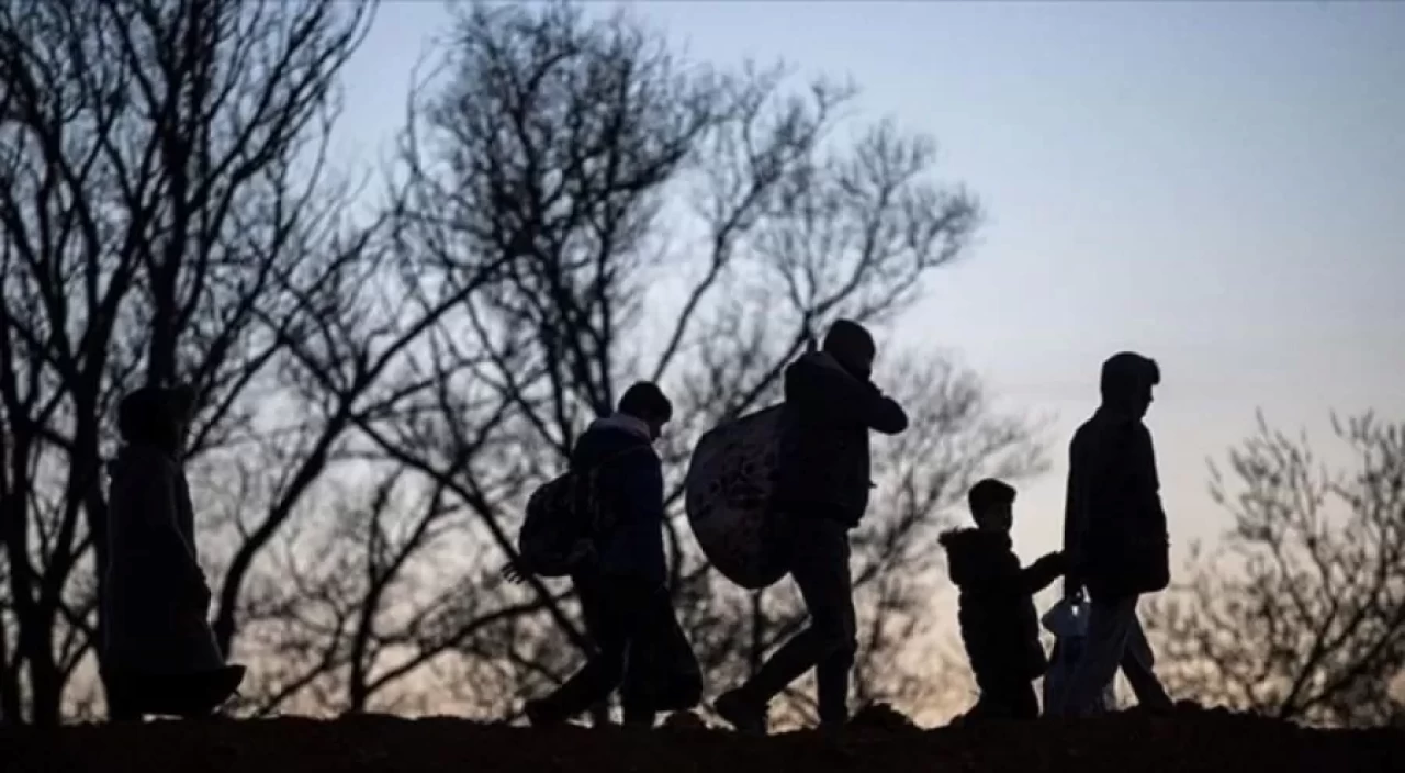 Edirne ve Kırklareli'nde 17 düzensiz göçmen yakalandı