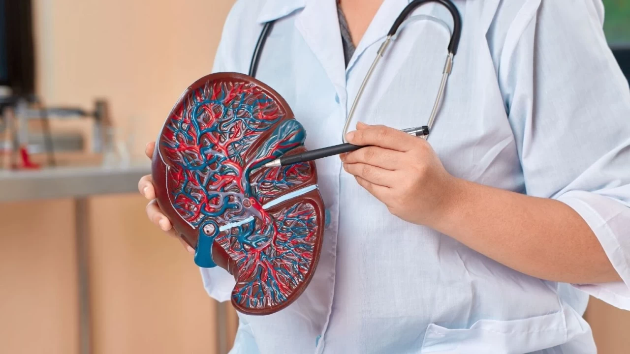 Karaciğerin Sessiz Katili! “Detoks” Sanılan Tehlike Aslında Zehir