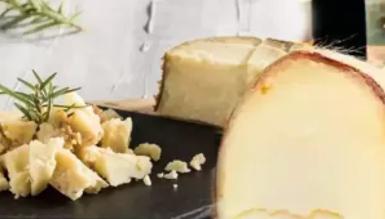 YUMURTADAN 30 KAT FAYDALI! OBRUK PEYNİRİ SAĞLIKTA DEVRİM YARATIYOR!