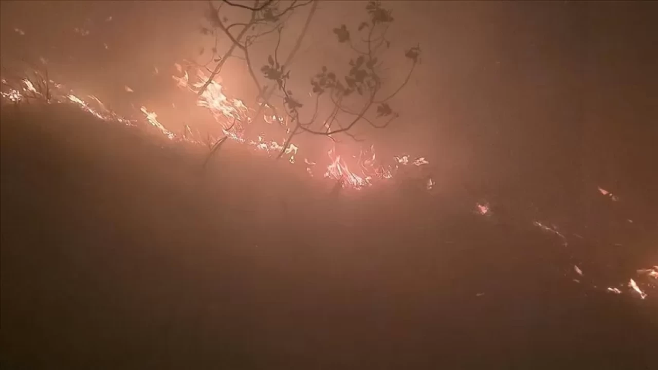 Hatay'da çıkan orman yangını kontrol altına alındı