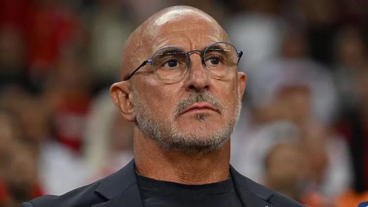 İspanya Milli Takım Teknik Direktörü Luis de la Fueante'den Türkiye maçı öncesi mesaj