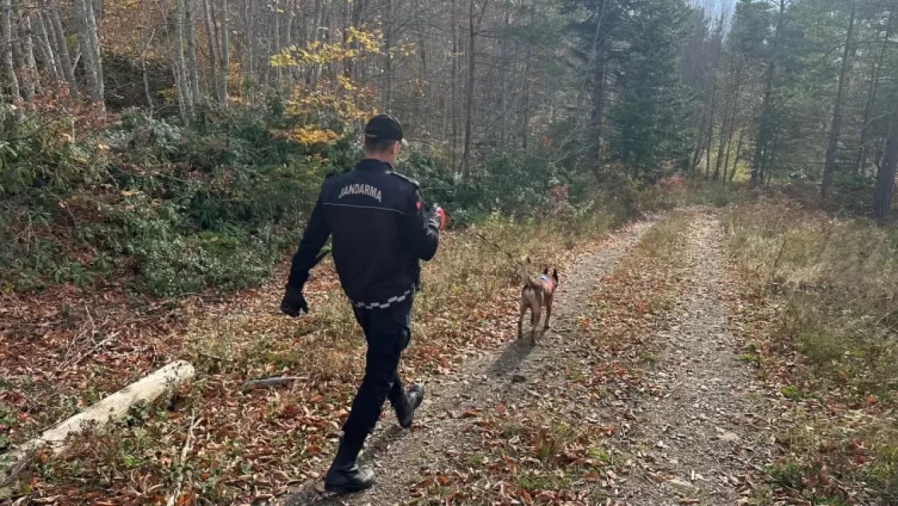 Kastamonu'da kaybolan anne ve 5 yaşındaki oğlundan 9 gündür haber alınamıyor