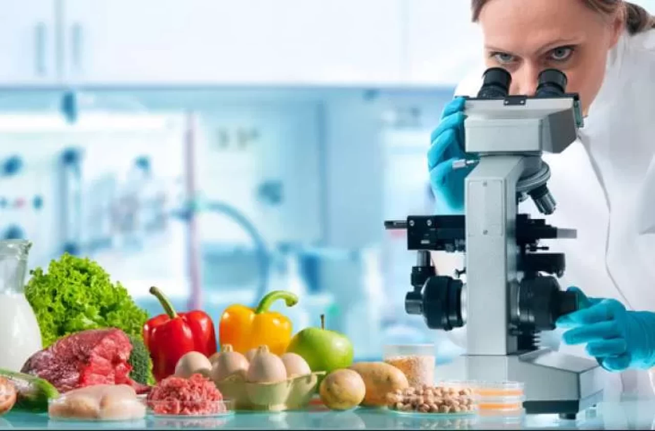 İstanbul'da gıda güvenliği toplantısı: İşletmelere görüntü kaydı şartı geldi