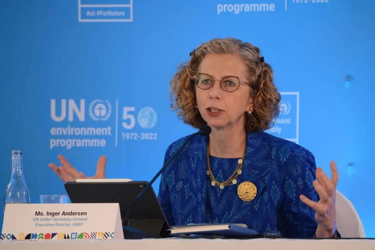 BM direktörü Andersen'den Türkiye ile iklim konusunda "derin işbirliği" mesajı