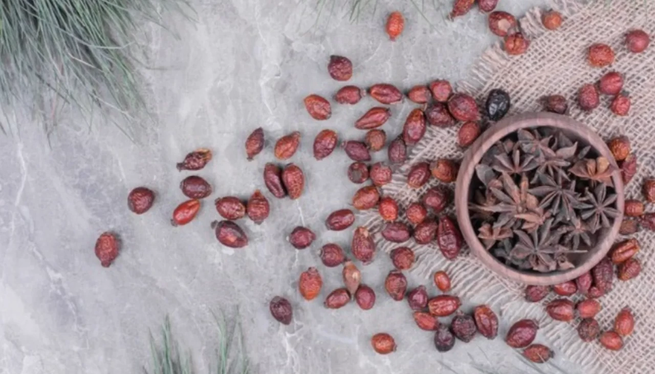 Ardıç tohumu vücutta neyi değiştiriyor? Son günlerin en çok merak edilen doğal formülü
