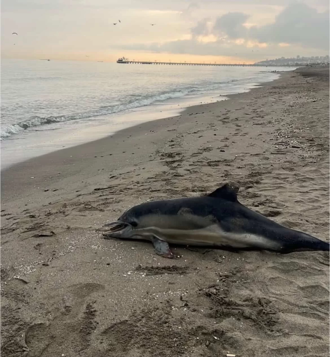 Yıldırım'da yürüyüş felaketi: Mahsur kalan gençten acı haber!