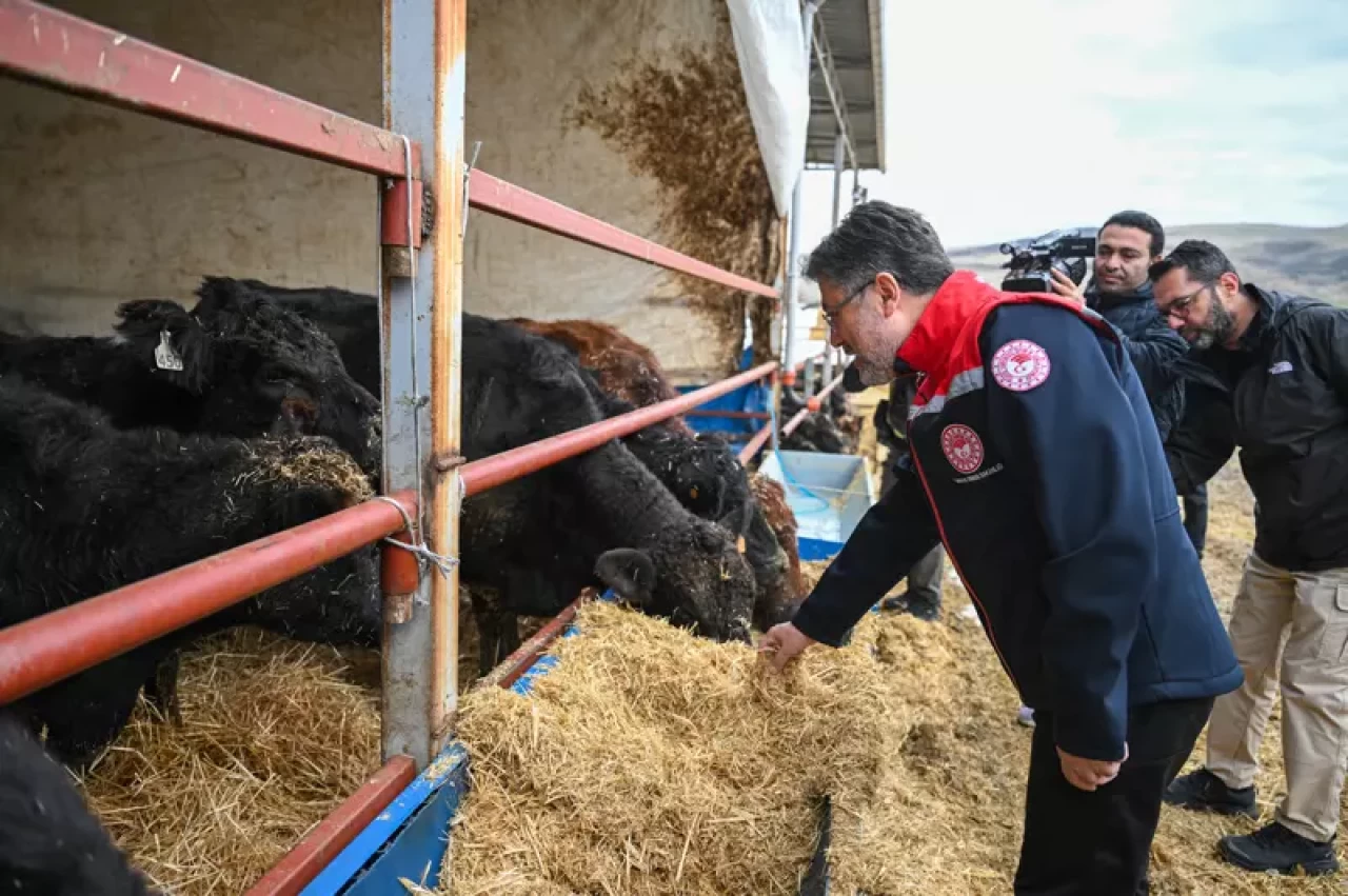 Hayvancılıkta yeni dönem! Kırsalda hayvan teslimatı başladı