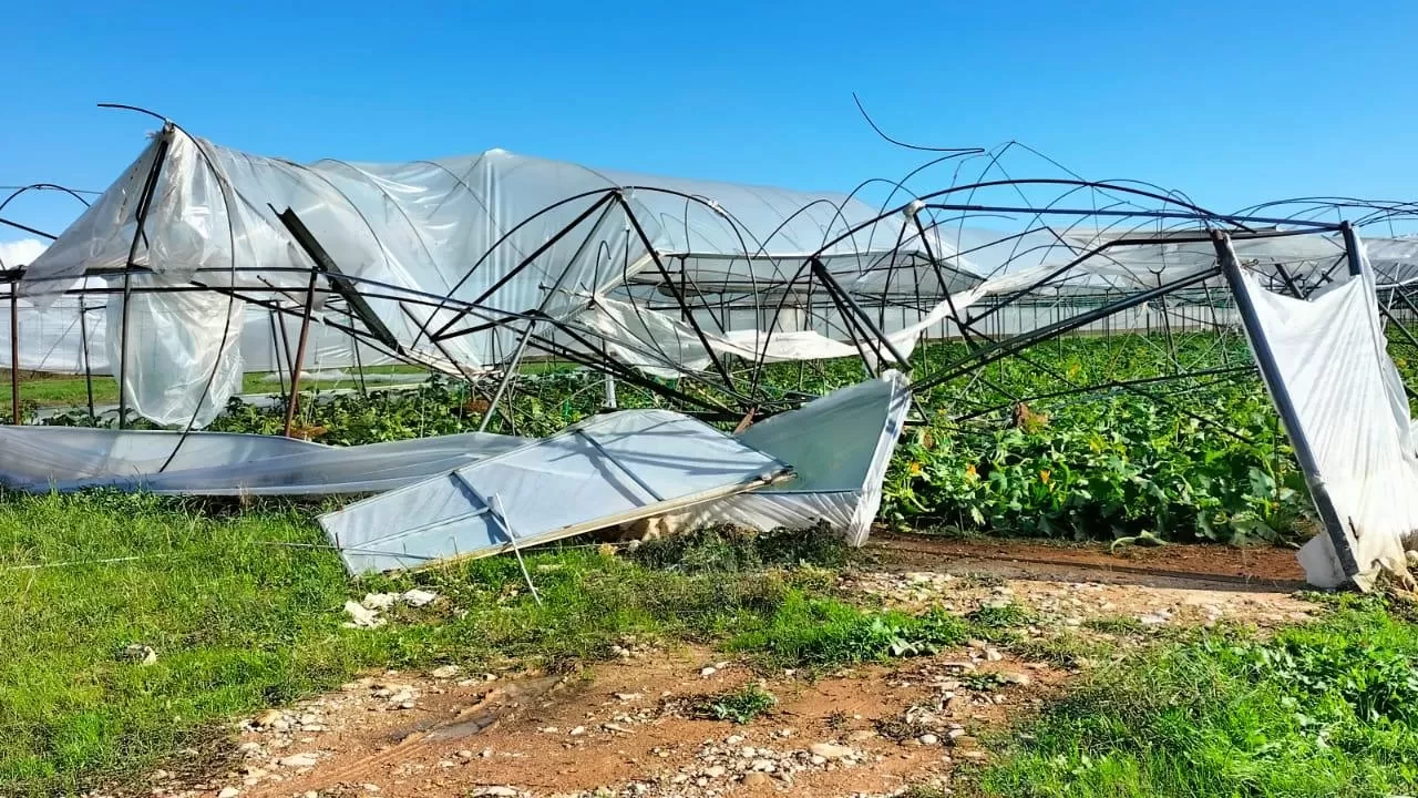 Antalya'da hortum nedeniyle seralar hasar gördü