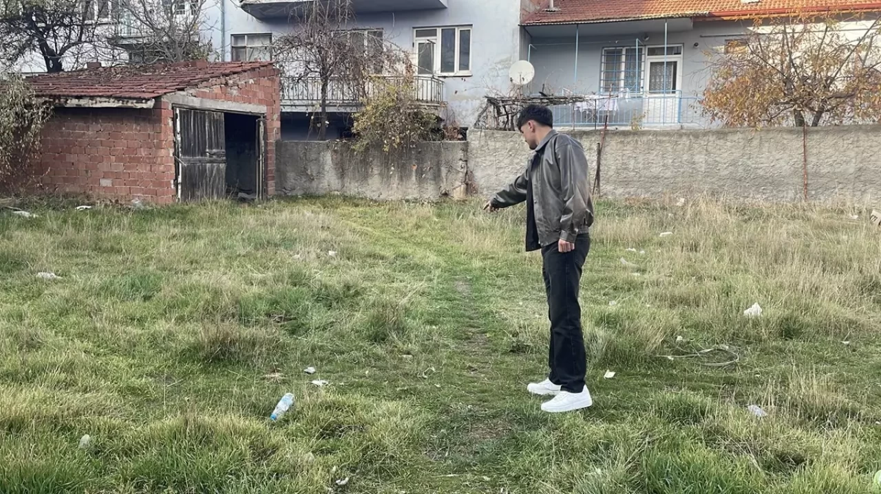 Eskişehir'de kedi katliamı: İşkence yaparak öldürdüler