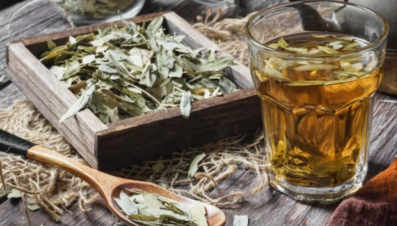 Birçok kişi bu hatayı yapıyor! Sinameki ile zayıflama kürlerindeki bilinmeyen tehlike