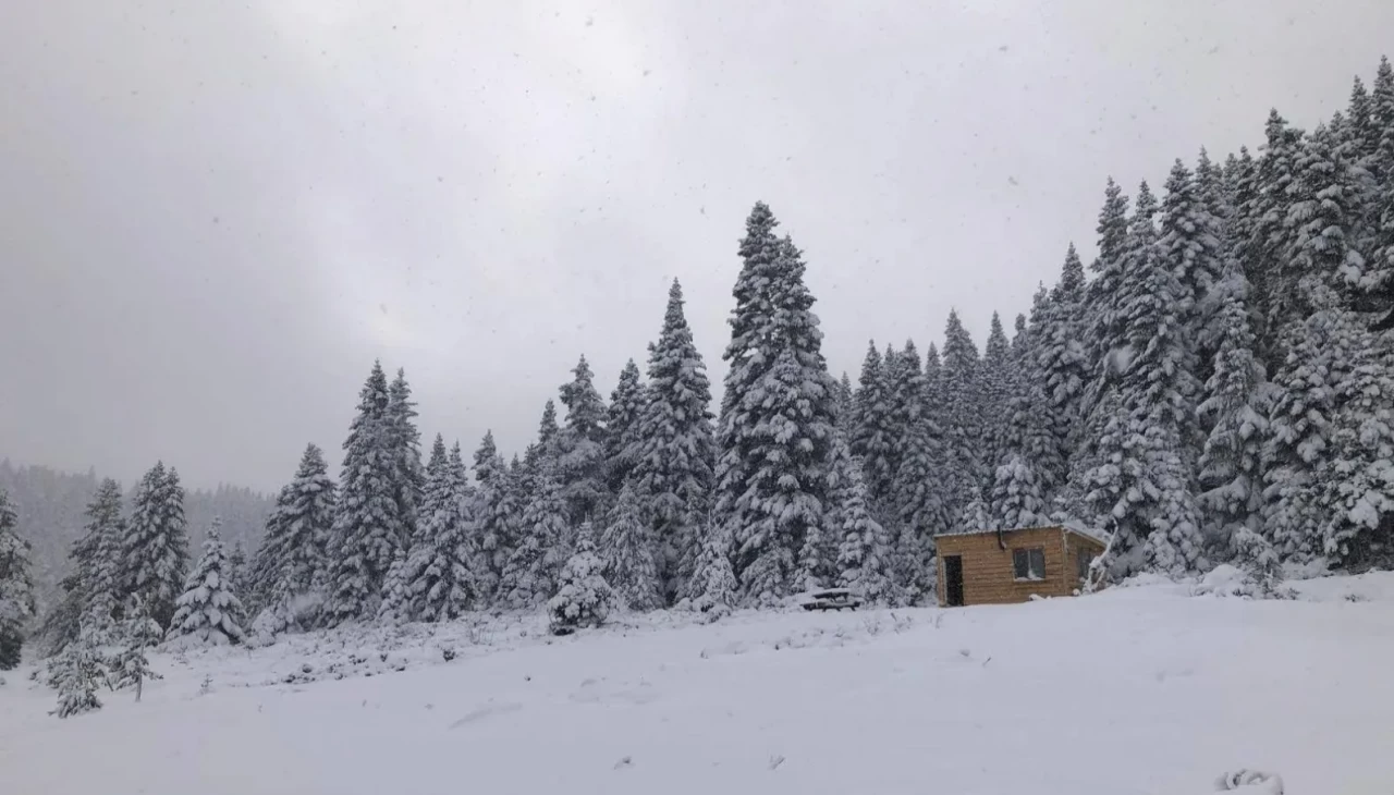 Sinop’ta kış manzaraları! Hacıağaç Yaylası beyaza büründü