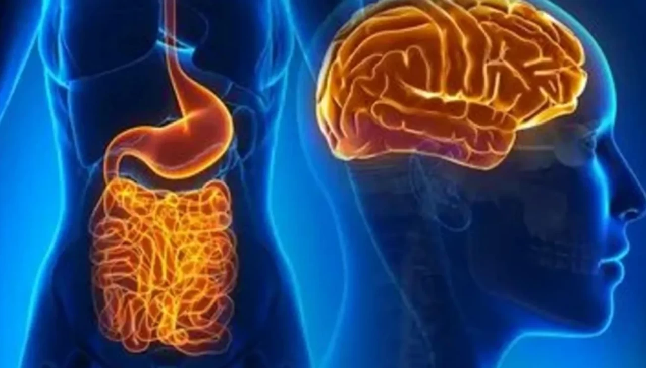 Mikrobiyom yaşlanması nedir? Bağırsakların yaşı sağlığı nasıl etkiliyor?