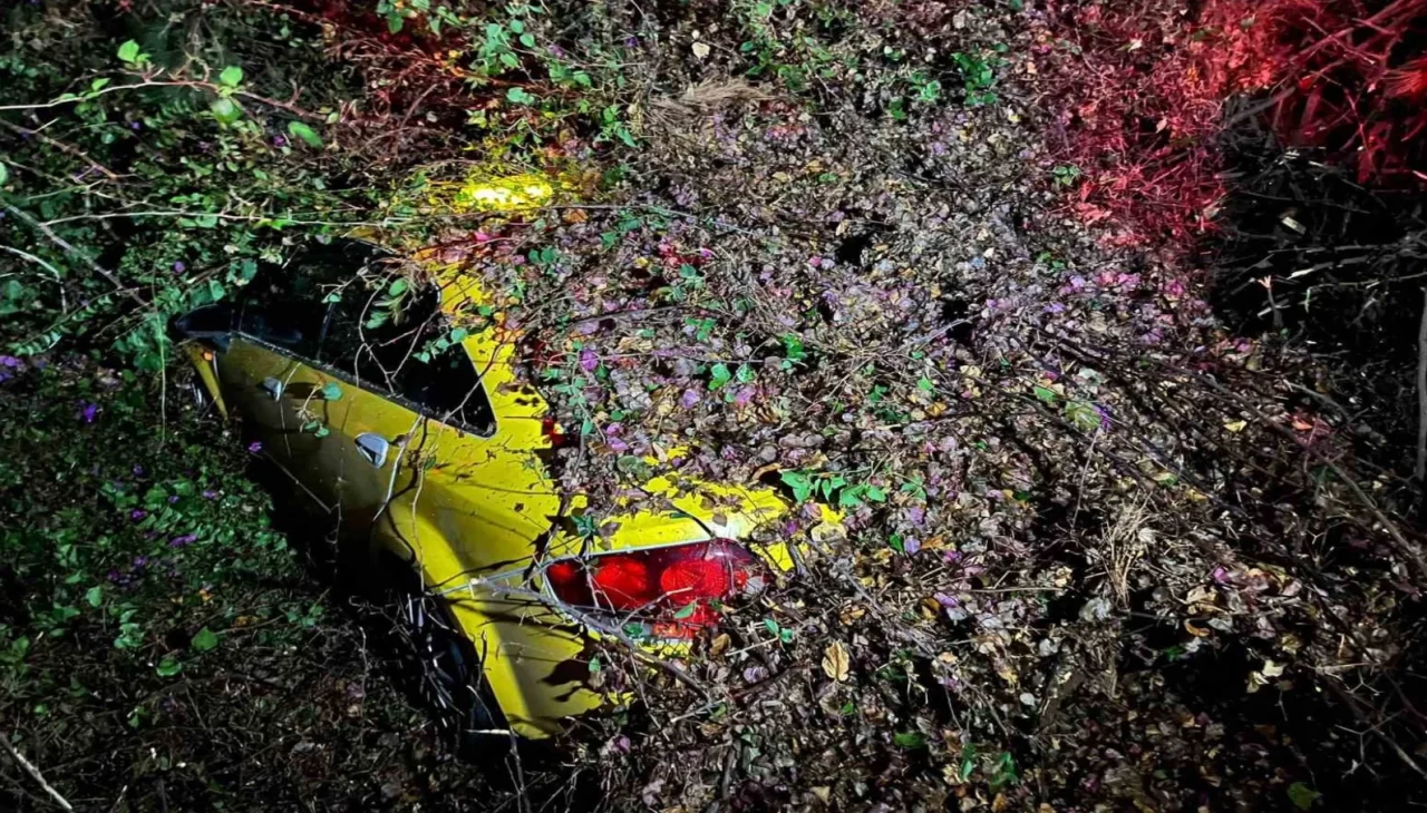 Seyir halindeki otomobilin üzerine ağaç devrildi!