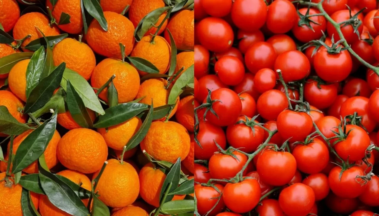 İstanbul’un Kasım favorileri açıklandı! Meyvede mandalina, sebzede domates zirvede: Rakamlar şaşırttı