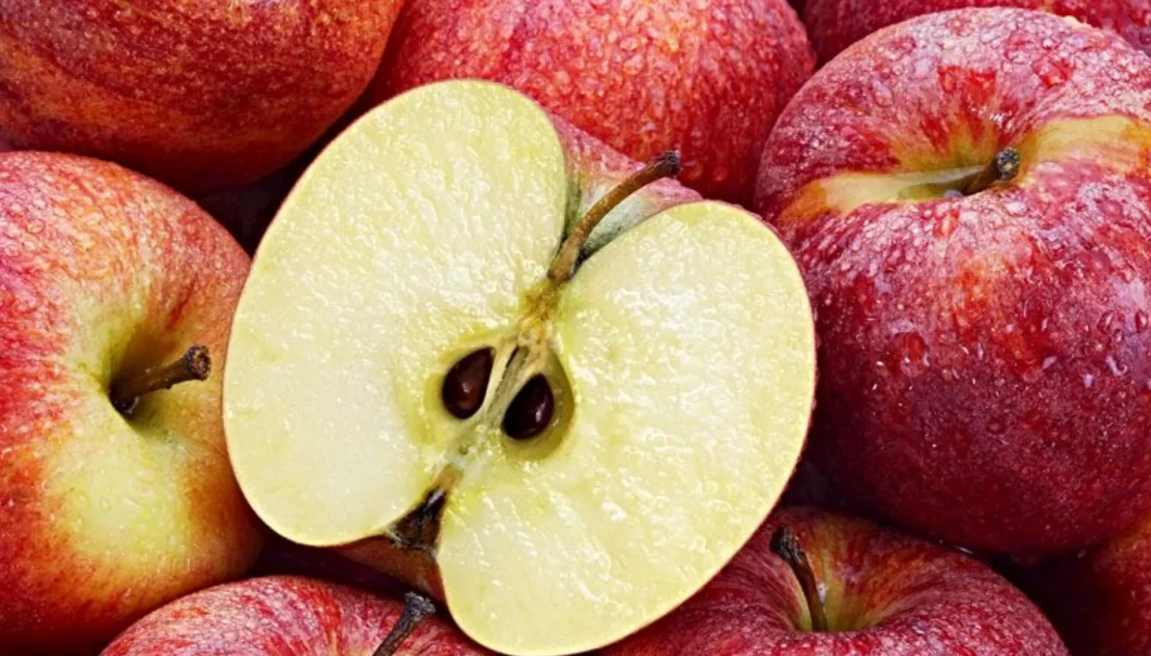 Çöpe atmadan önce bir daha düşünün! Elmanın çekirdek yuvası sandığınızdan daha etkili