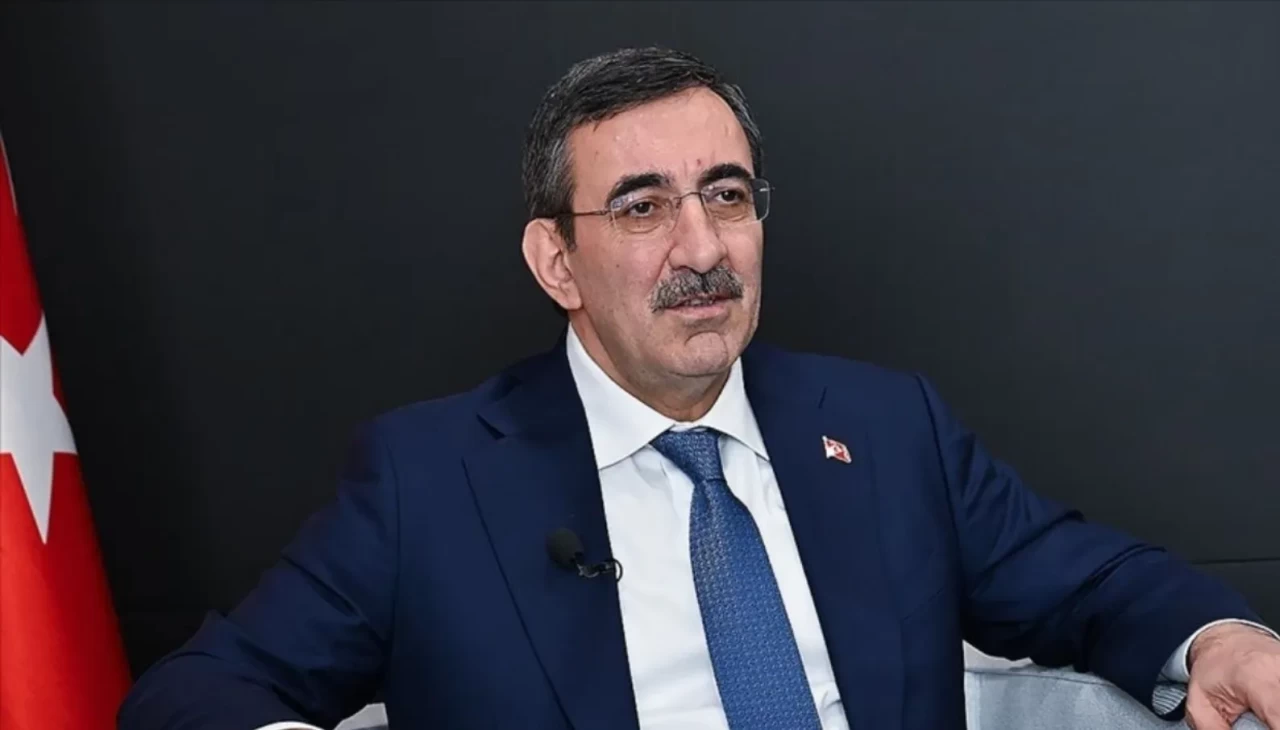 Cumhurbaşkanı Yardımcısı Yılmaz'dan "Dünya Engelliler Günü" mesajı