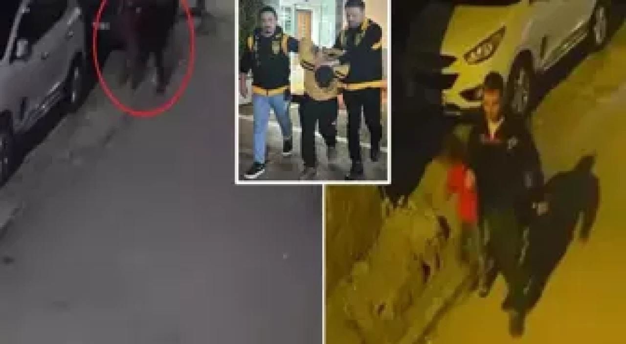 Pes artık! Baygın haldeki kişinin telefonunu sokakta köpekle çaldılar