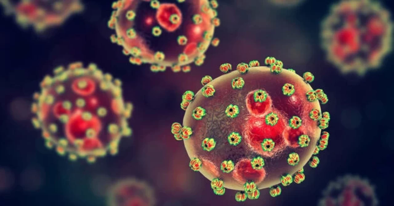 Nijerya'da yayılan Lassa ateşi hastalığından yaşamını yitirenlerin sayısı 53'e yükseldi