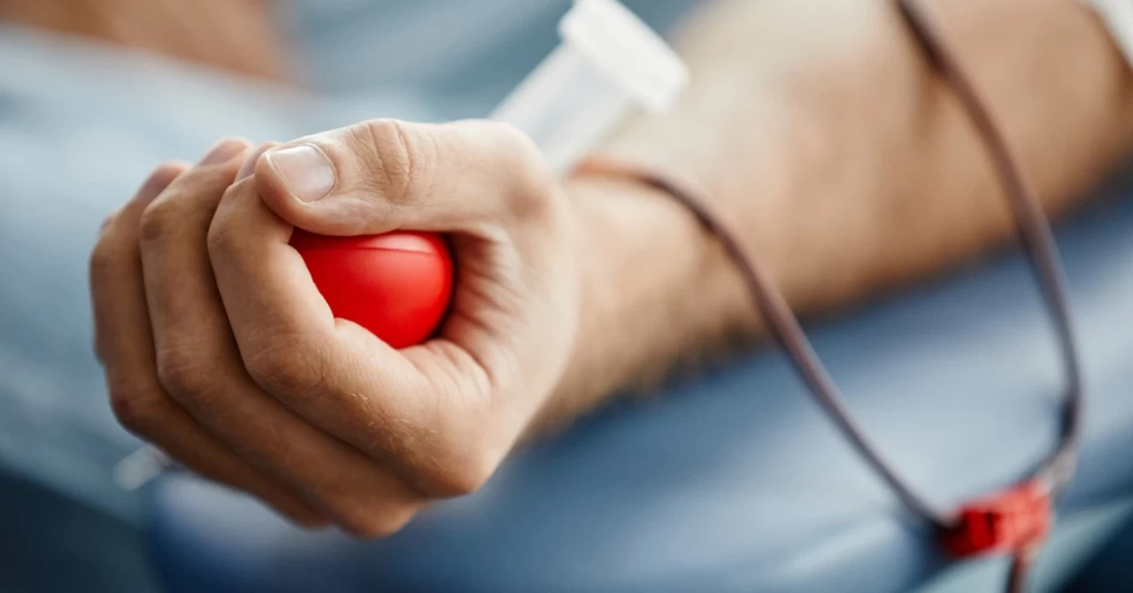 Hangi Kan Grubu Kime Kan Verebilir? Kan Bağışı Rehberi