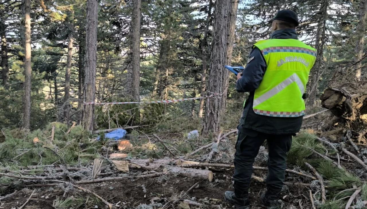 Kütahya'da ağaç keserken altında kalan işçi hayatını kaybetti