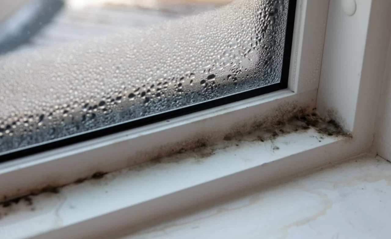 Rutubetli pencereleri parlatmanın sırrı: Kolay ve etkili temizlik ipuçları