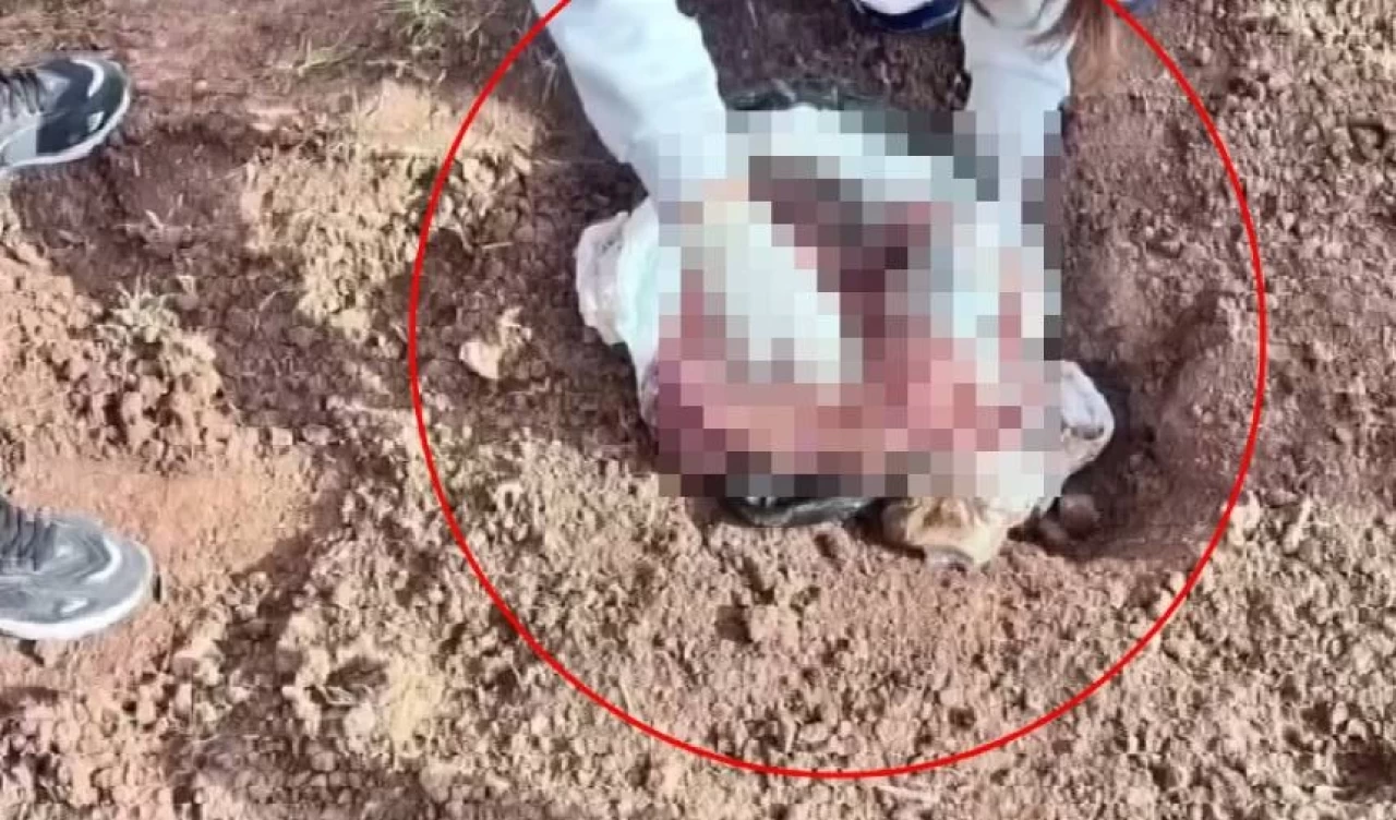 Şırnak'ta, poşet içerisinde yeni doğmuş kız bebek cesedi bulundu