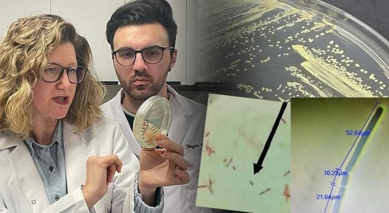 Türk bilim insanları 'en büyük keşif' diyerek dünyaya duyurdu: Yeni bir cins olduğunu gördük