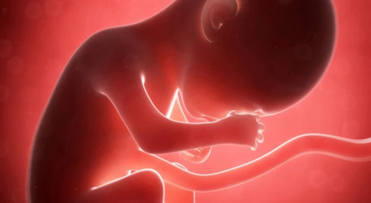 Hamilelikte 10. hafta belirtileri neler? İşte o belirtiler...