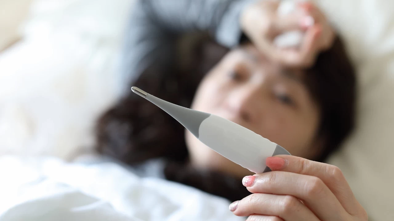 Domuz gribi nedir, bulaşıcı mıdır?