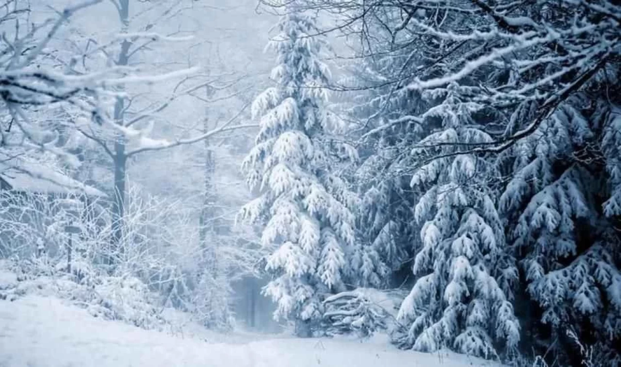 Kışın kar nasıl oluşur? Kar kaç derecede yağar?