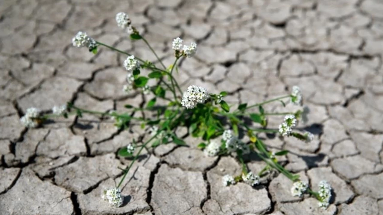Türkiye’nin ilk İklim Kanunu için geri sayım