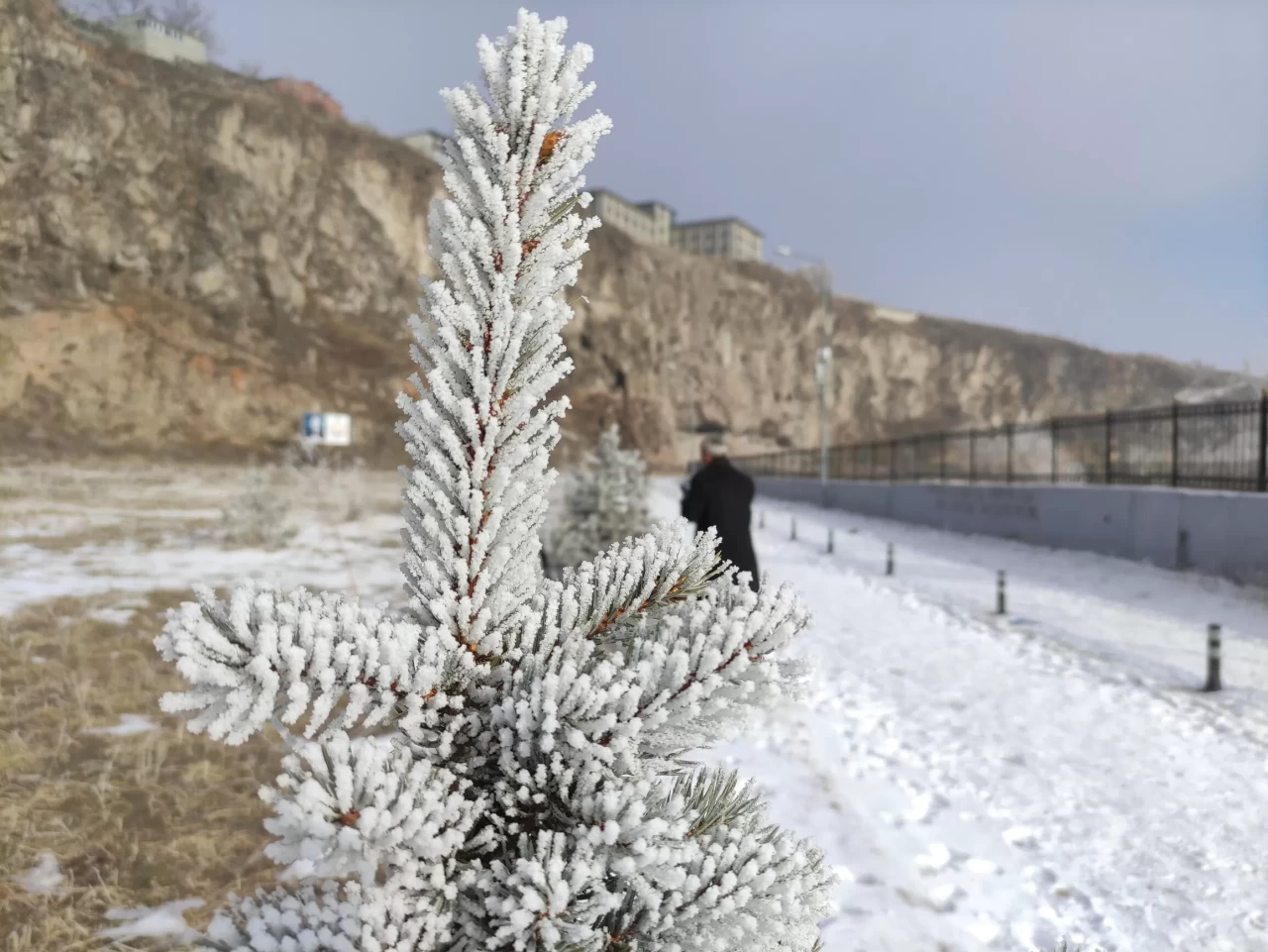 Ardahan'da Sibirya soğukları: Gece sıcaklık -32,1 dereceye düştü