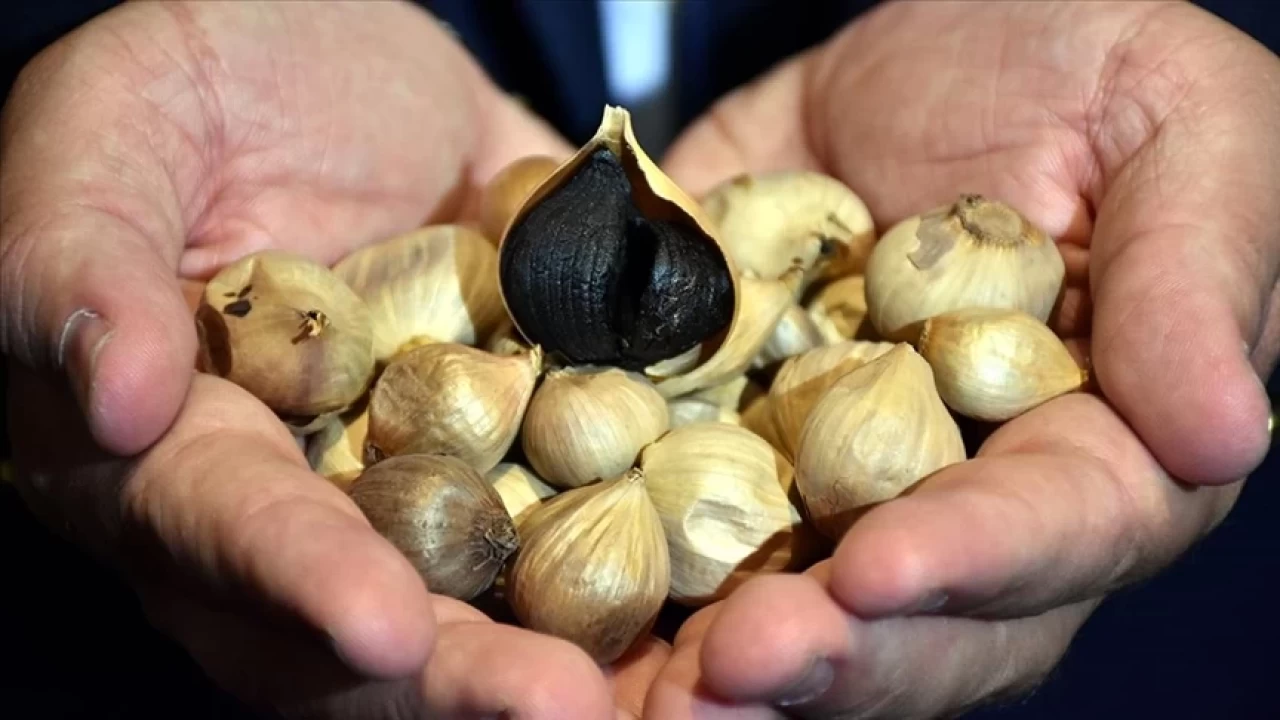 Siyah sarımsak nedir? Faydaları nelerdir?