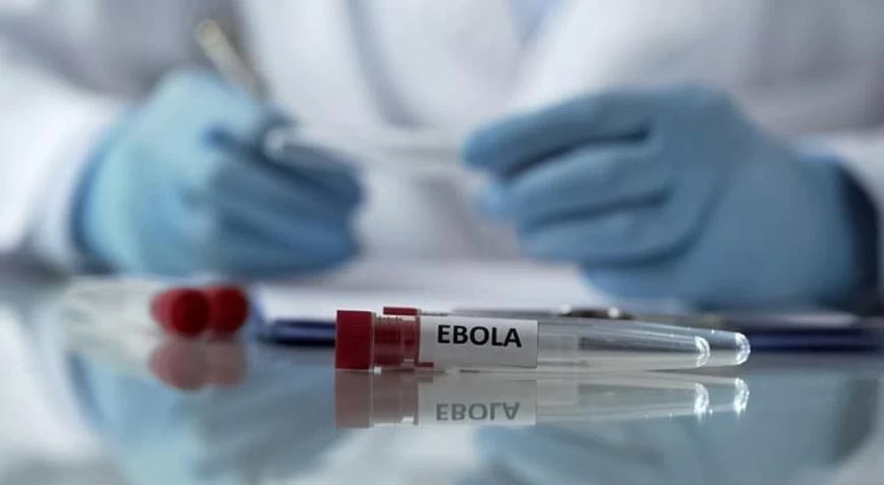 Nijerya'da "Ebola" alarmı