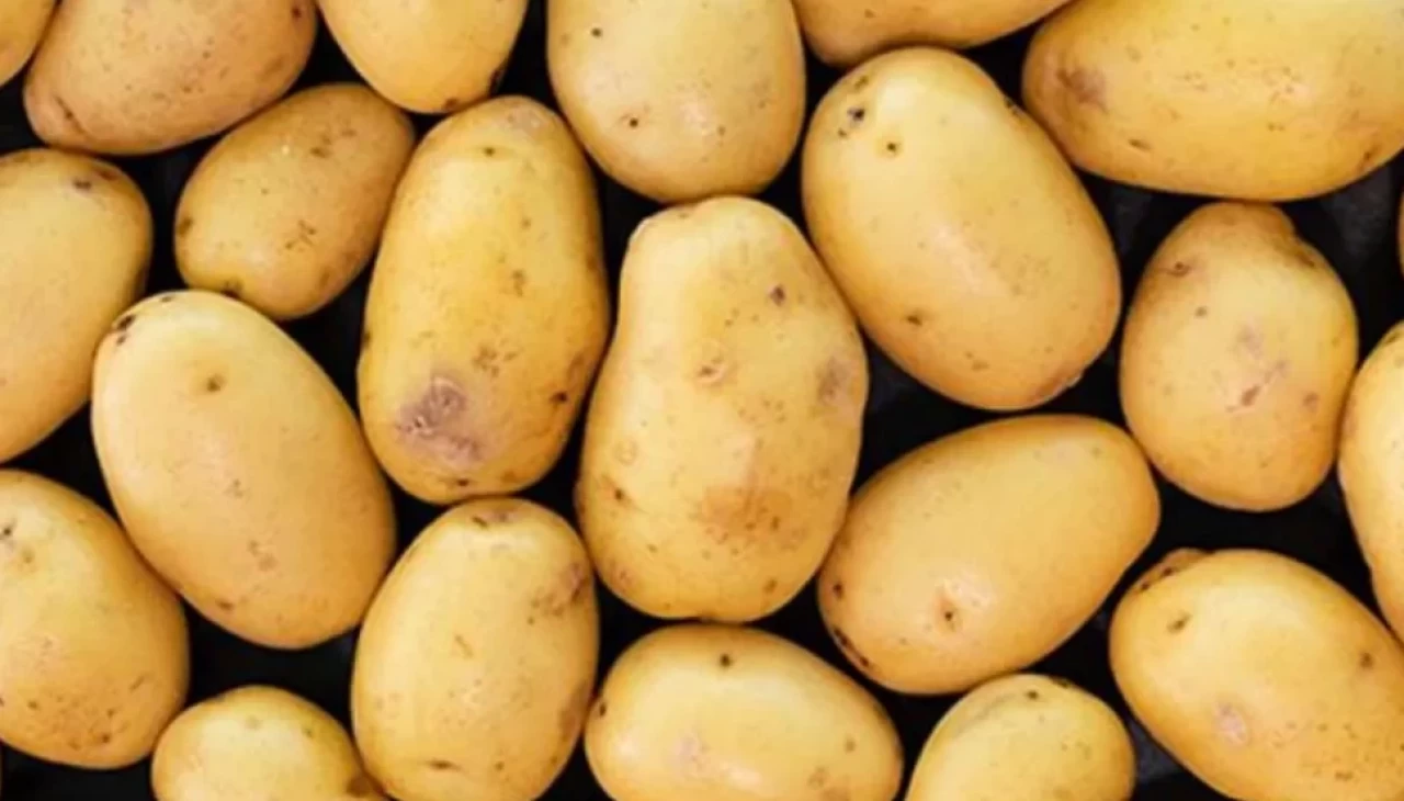 Aylarca taptaze kalacak! Patatesleri saklamanın püf noktaları