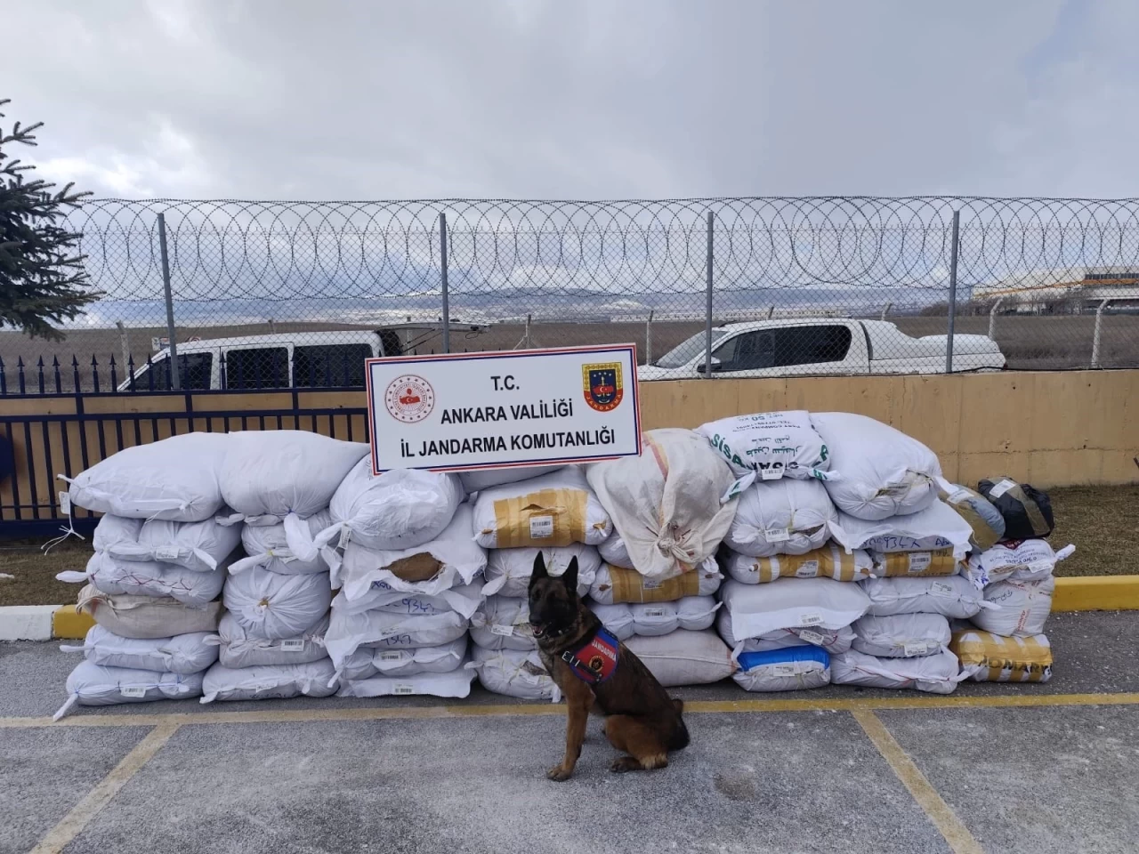Ankara'da bir tırda 4 ton 700 kilo kaçak tütün ele geçirildi